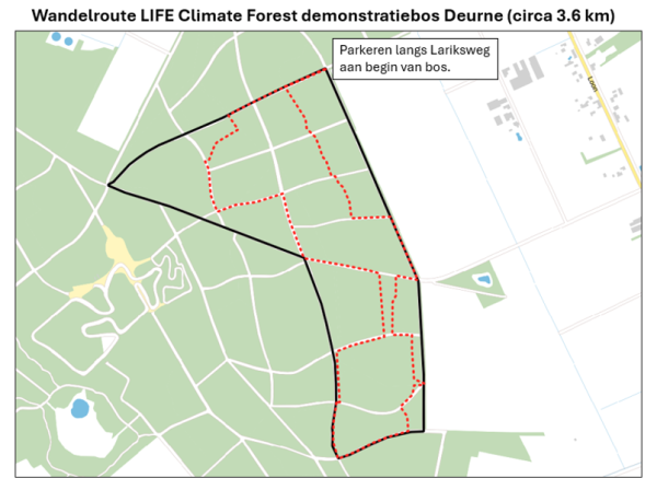 Walking route-Liessel forest