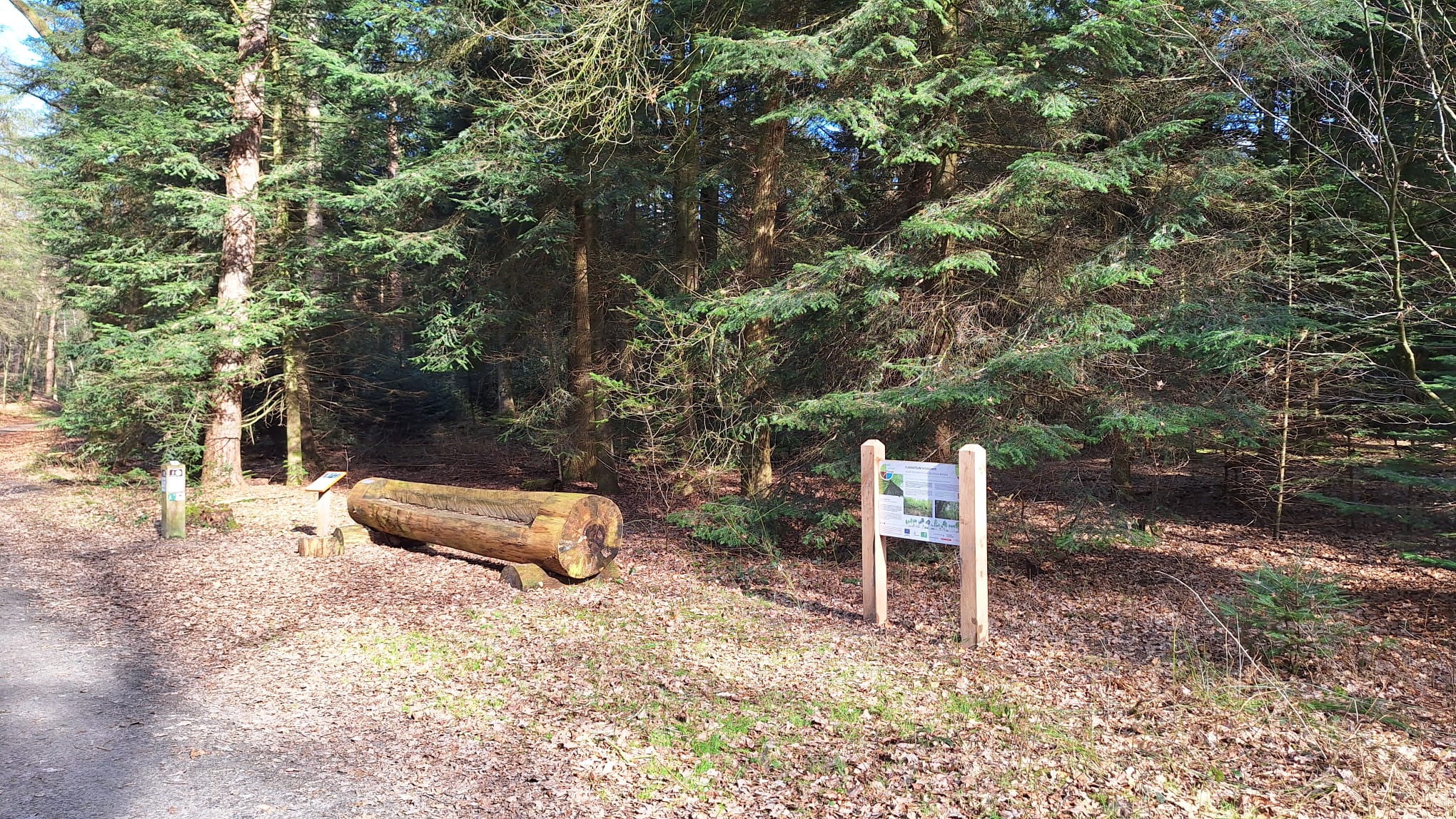 Bord Emmer Pine 1