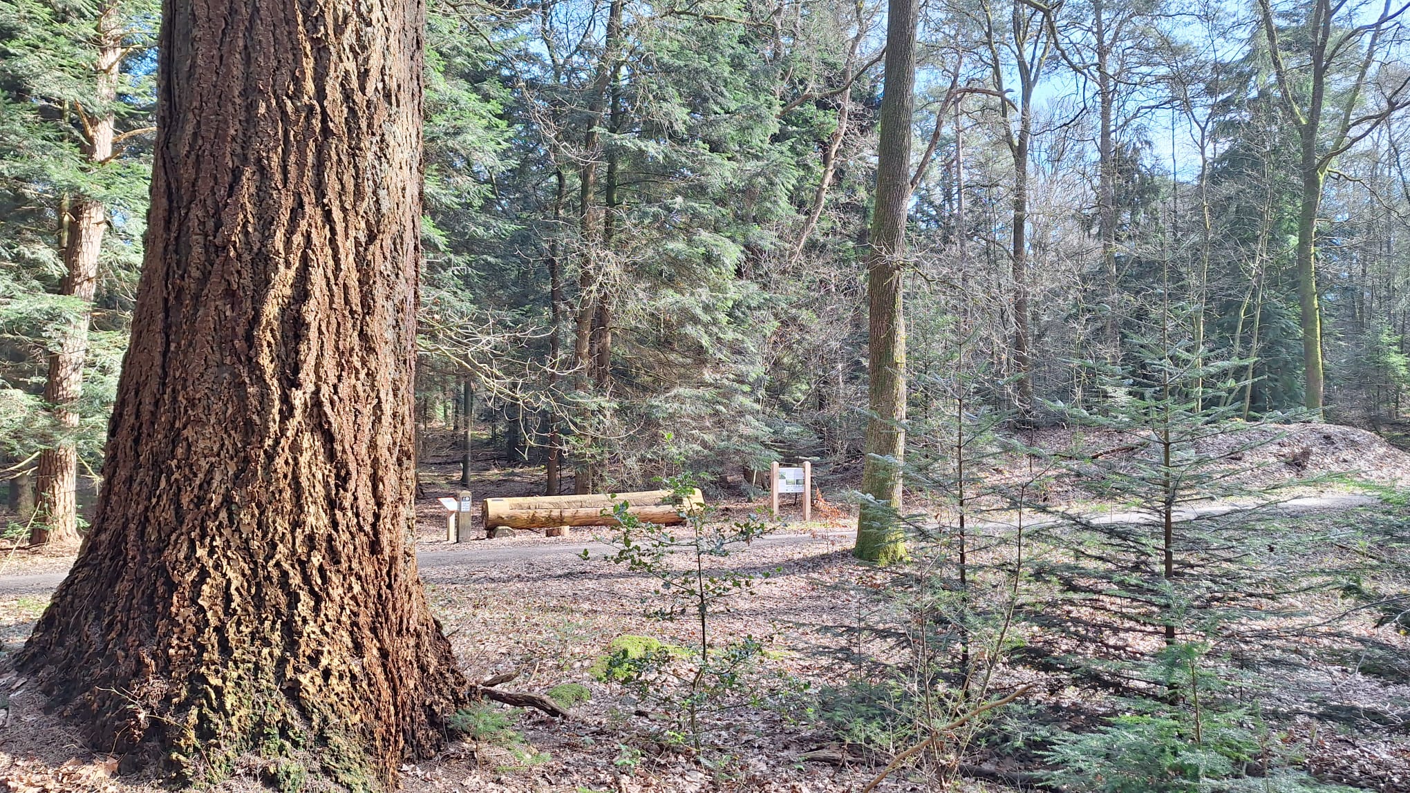 Bord-Emmerdennen-2